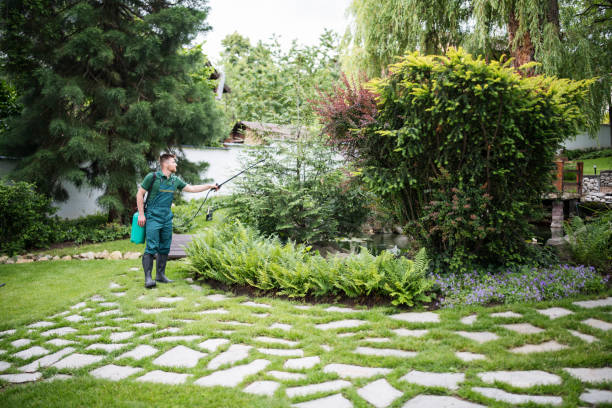 Best Pest Prevention Services  in Battle Ground, WA