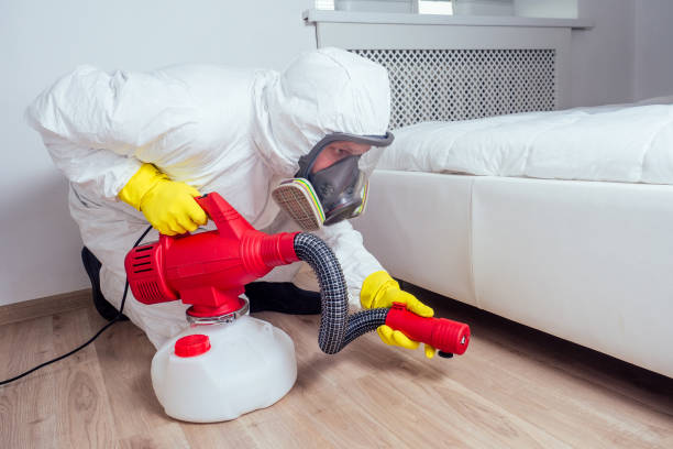 Best Wasp Removal Services  in Battle Ground, WA